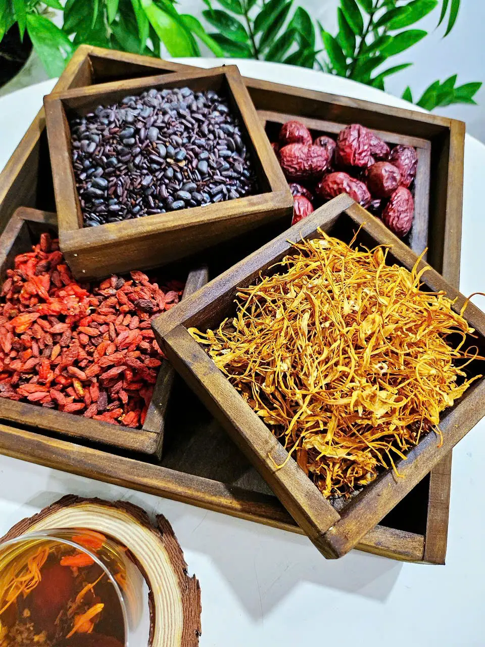 Các loại Đông Trùng Hạ Thảo