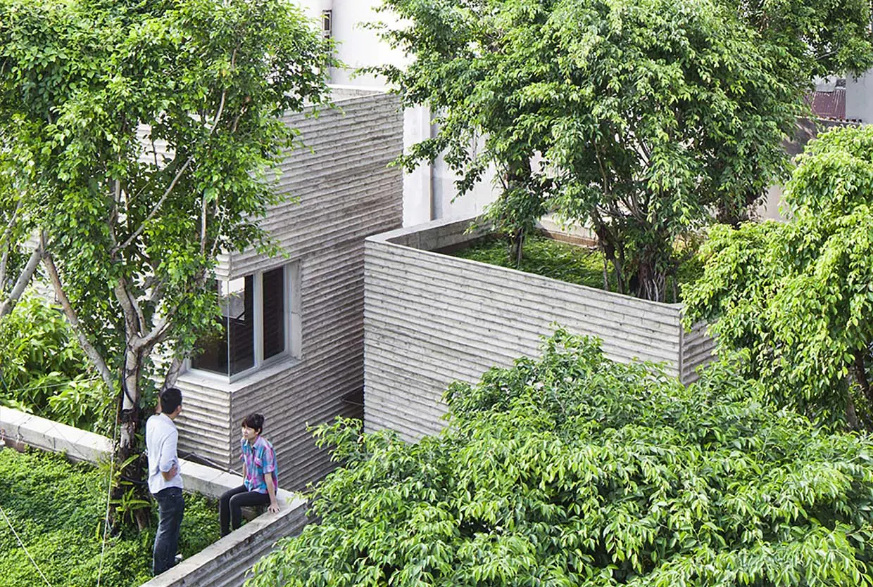 House for Trees - Ngôi nhà cho cây xanh