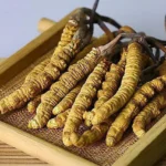 Đông Trùng Hạ Thảo – Phương Thuốc Ngàn Năm Của Người Xưa